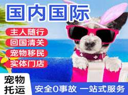 晋江机场快递国际宠物托运 【国